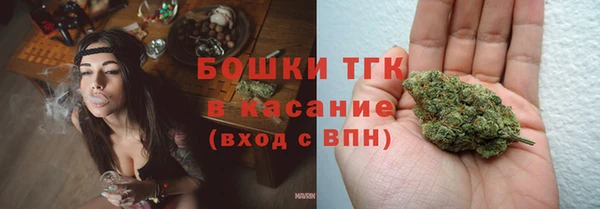 дживик Каменногорск