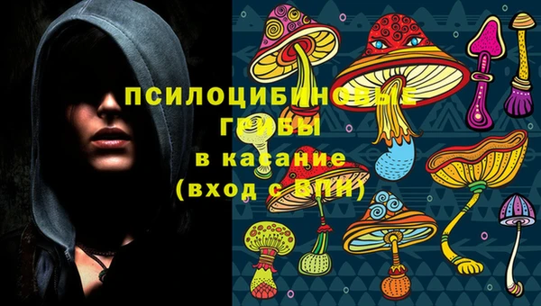 дживик Каменногорск
