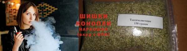 дживик Каменногорск