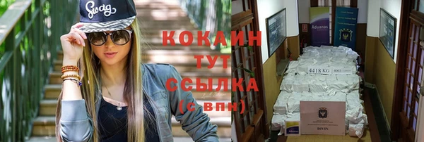 дживик Каменногорск